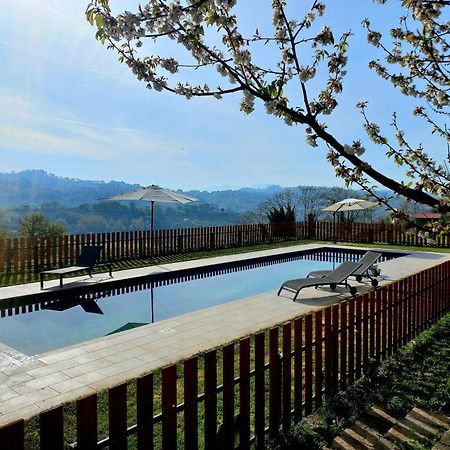 La Casa Nettarina Guest House Poggio Mirteto Екстериор снимка