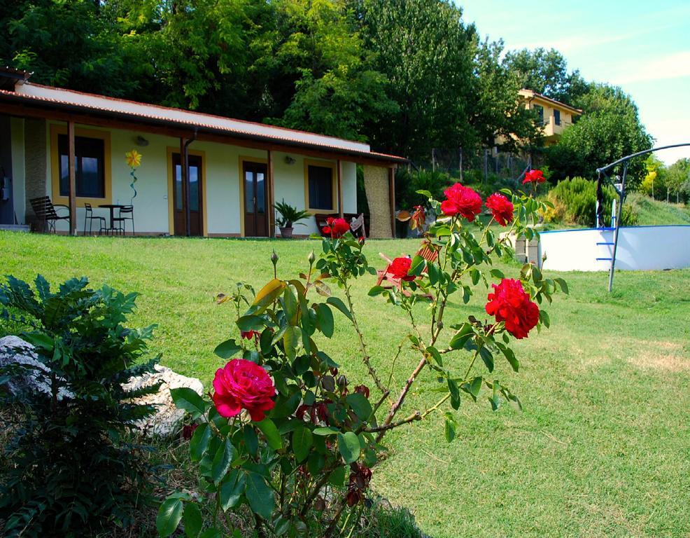 La Casa Nettarina Guest House Poggio Mirteto Екстериор снимка